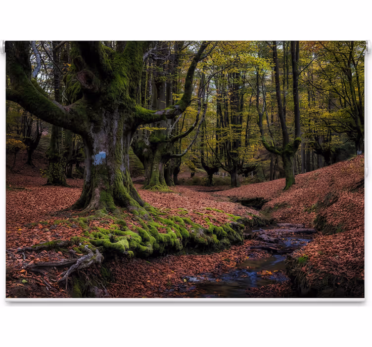 Tree blind in enchanted autumn forest - TenStickers
