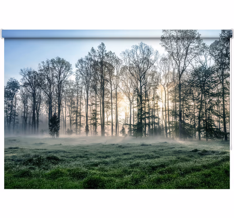 Misty morning meadow tree blind - TenStickers