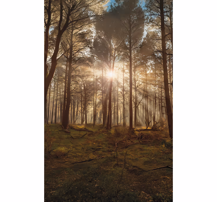 Tree blind golden wildlife lounge - TenStickers