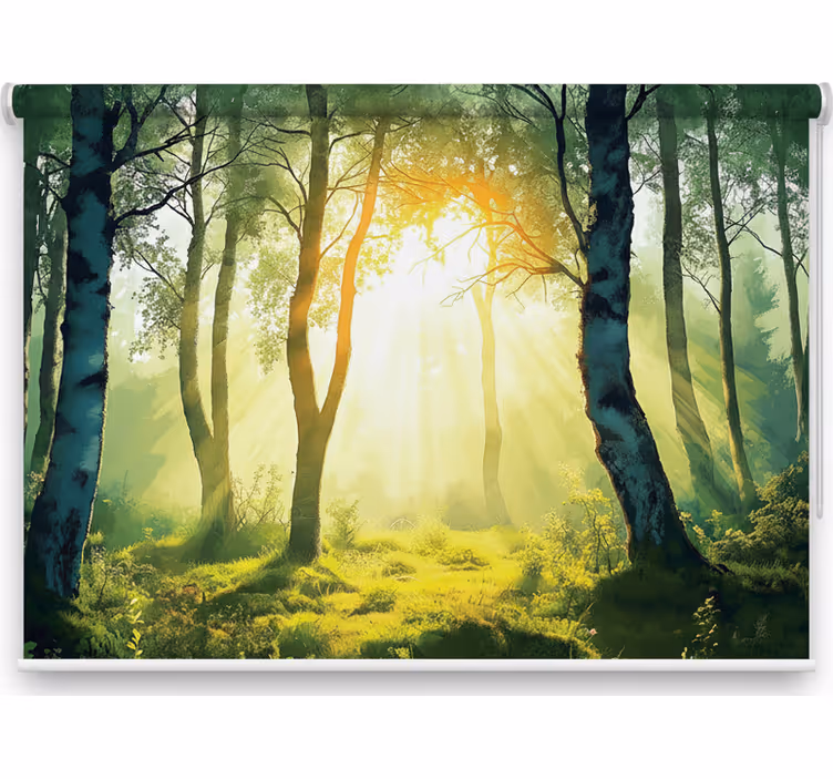 Tree blind sunlit birch mural - TenStickers