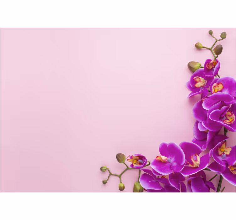 Blind kitchen pink orchid background - TenStickers