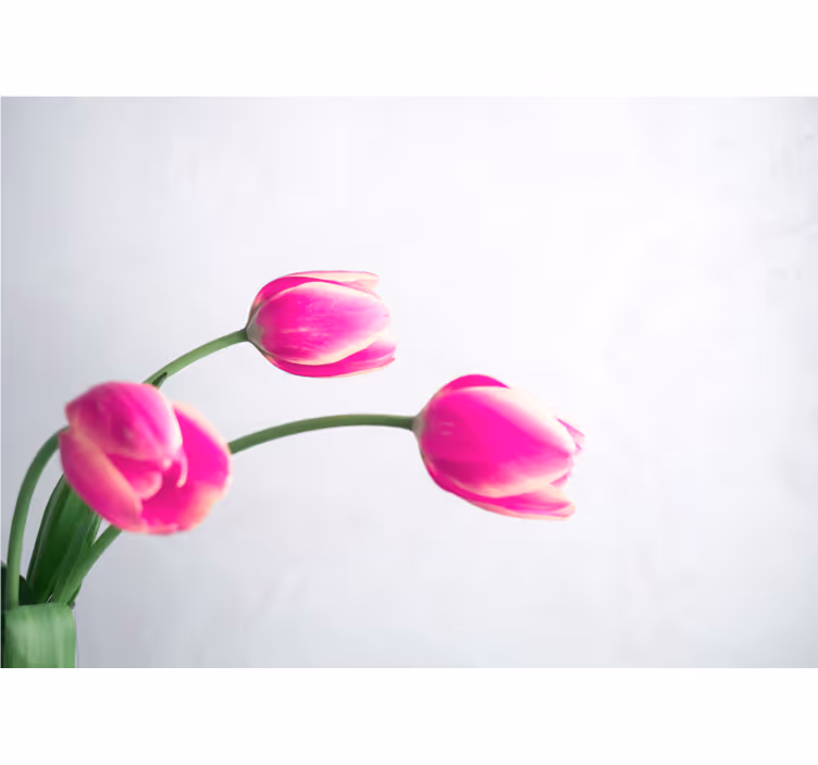 Blind kitchen three white tulips on a white background - TenStickers