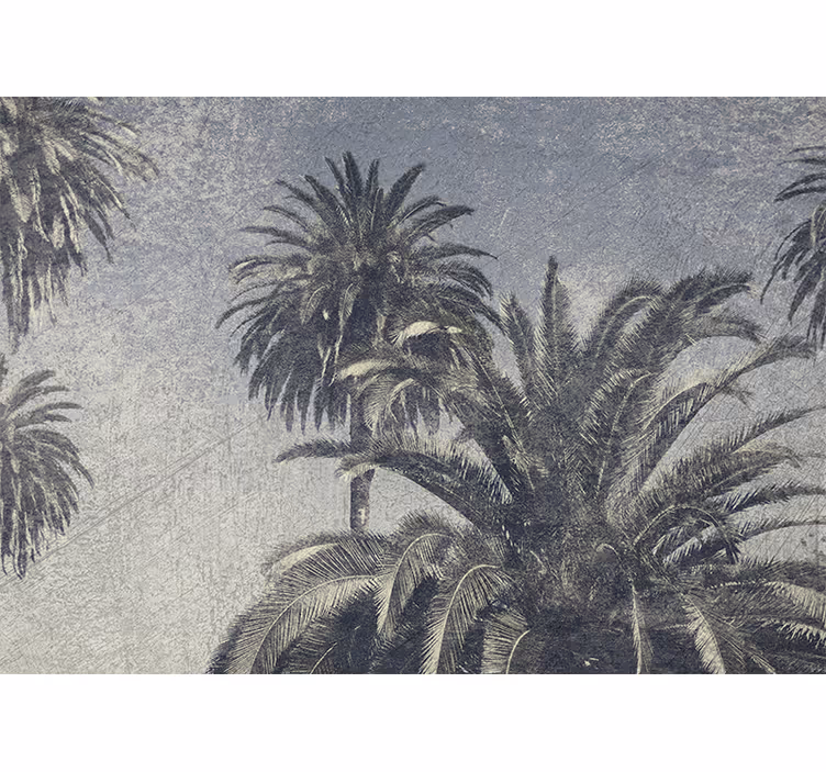 Blind kitchen gray drawn palm trees - TenStickers