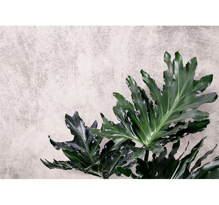 Blind kitchen green leaves on concrete backdrop - TenStickers