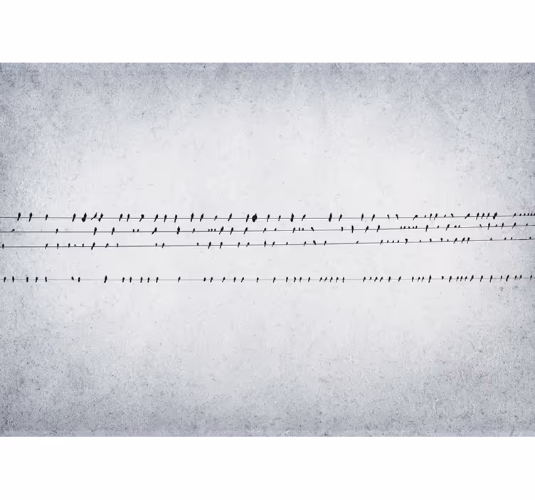 White window blind birdsong on strings - TenStickers