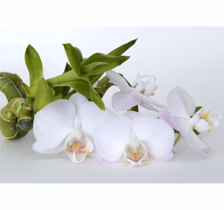 White window blind white green orchid - TenStickers