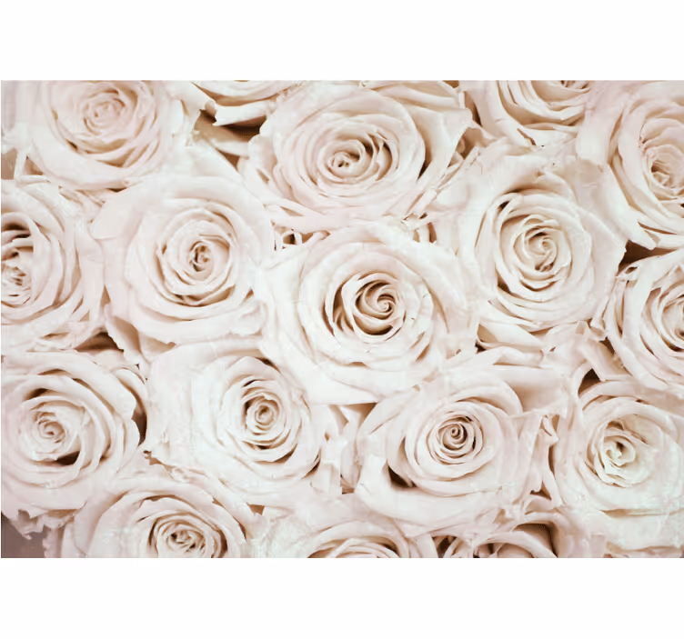 White window blind elegant rose flower design - TenStickers