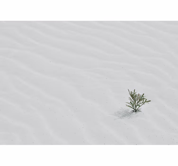 White window blind in white desert sand color - TenStickers