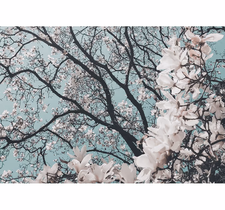 Living room blind elegant style cherry blossom design - TenStickers