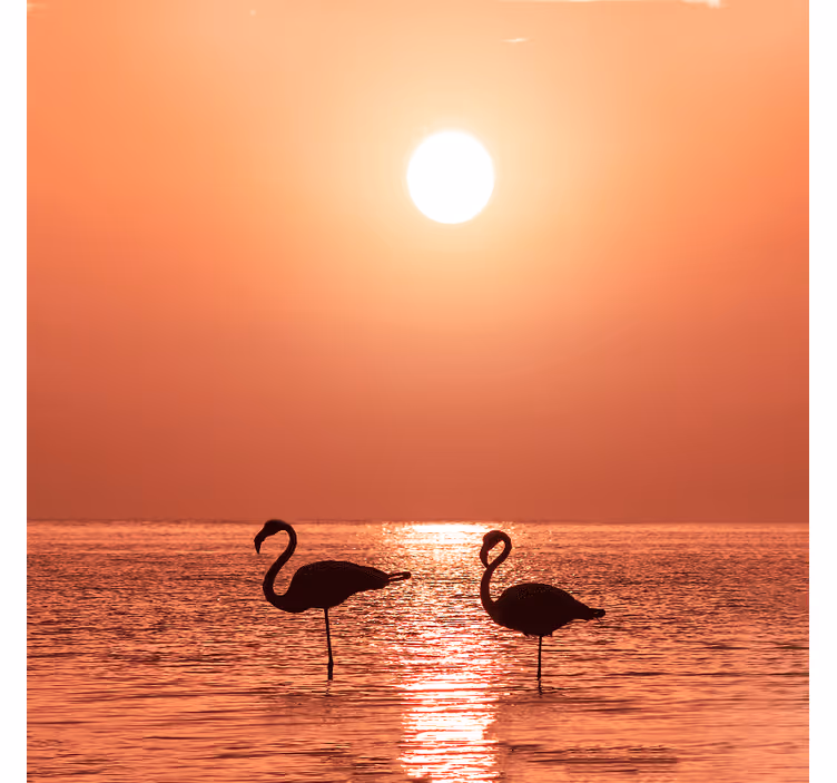 Living room blind flamingo at sunset - TenStickers