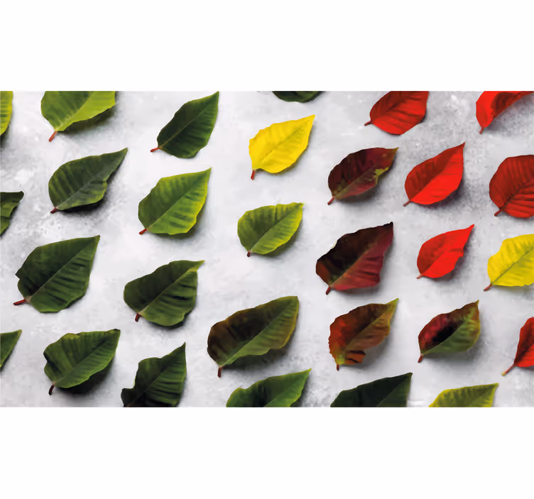 Living room blind with colorful leaf design - TenStickers