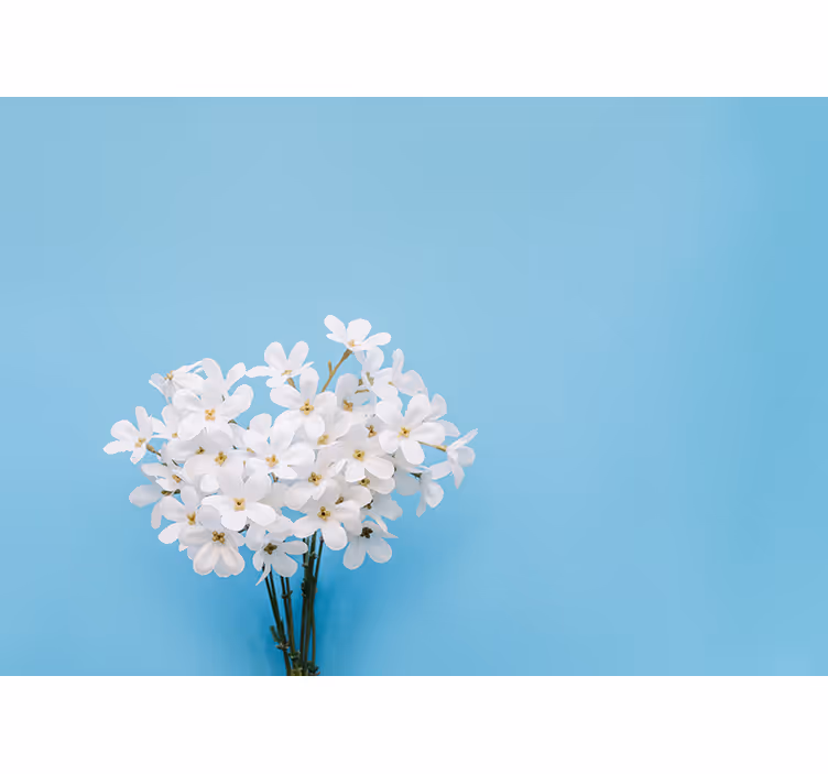 Blind blue jazmin blue background - TenStickers