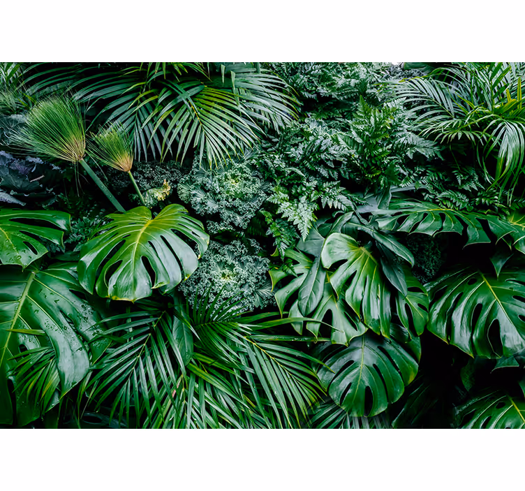 Blind green rainforest delight - TenStickers