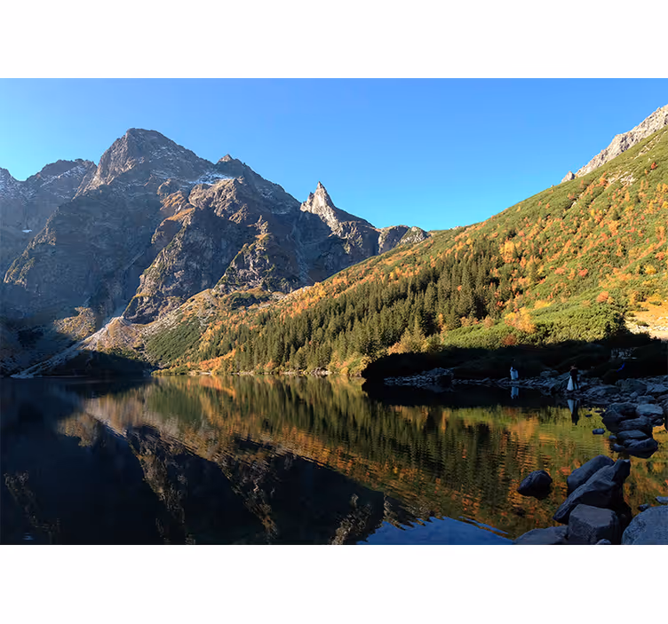 Blind green morskie oko in spring - TenStickers