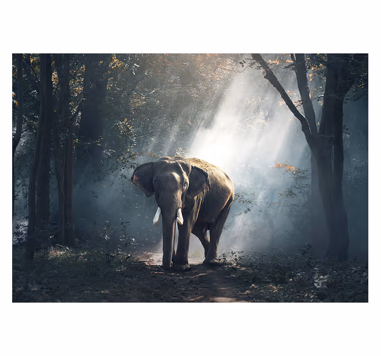 Living room blind elephant in the forest - TenStickers