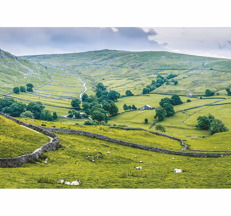 Living room blind in english countryside style - TenStickers