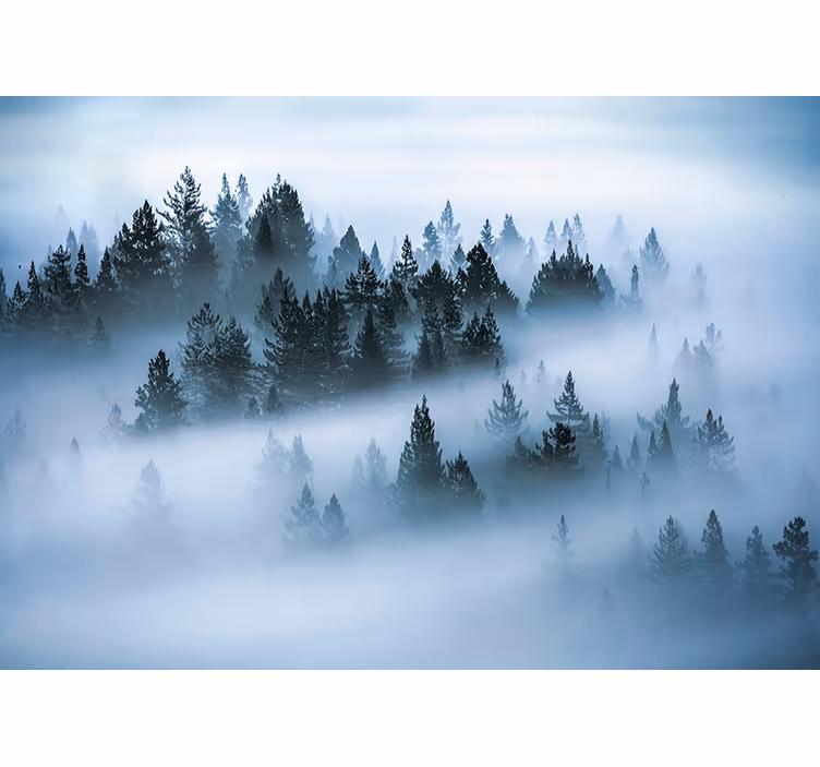 Living room blind morning fog - TenStickers