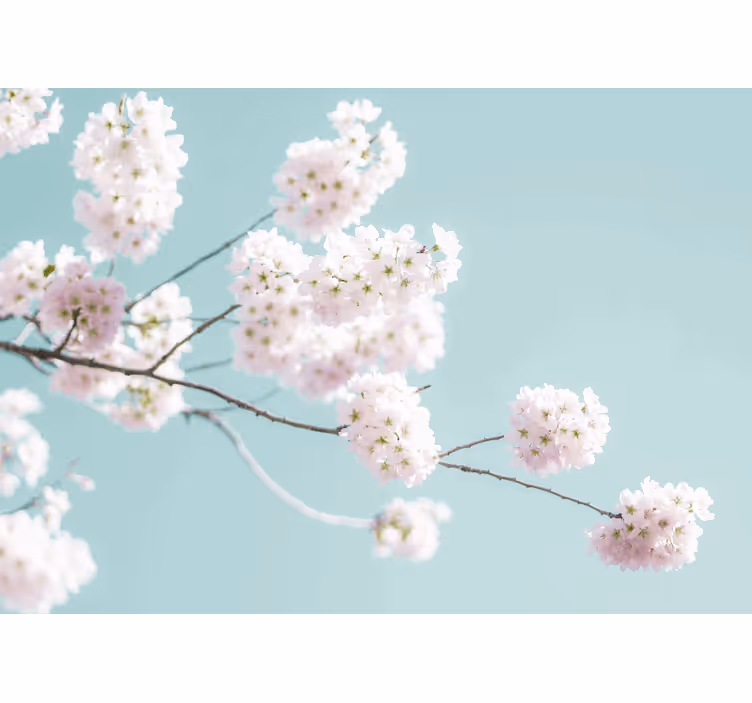Elegant and feminine white flower design living room blind - TenStickers