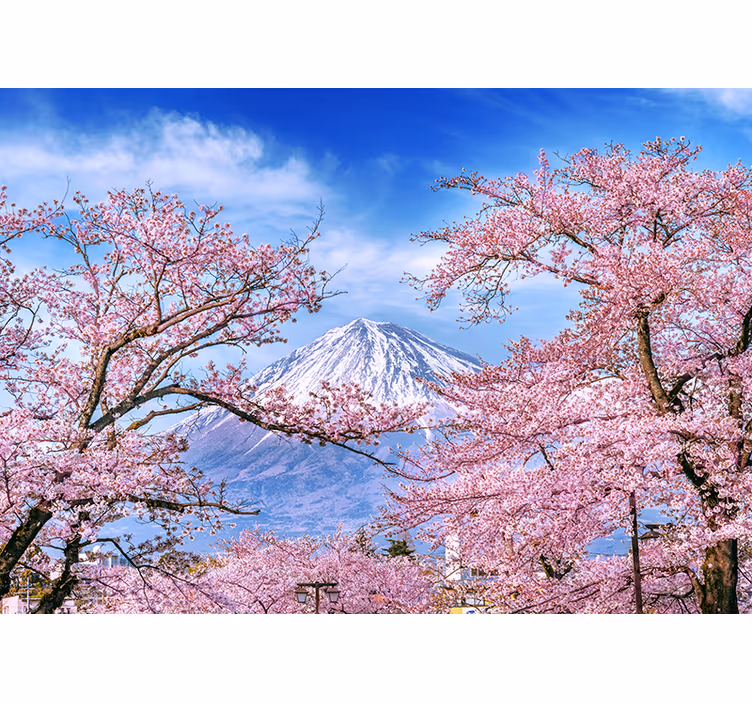 Living room blind mountain cherry blossom design - TenStickers