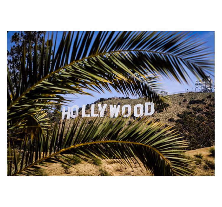 Living room blind with hollywood sign and tree - TenStickers
