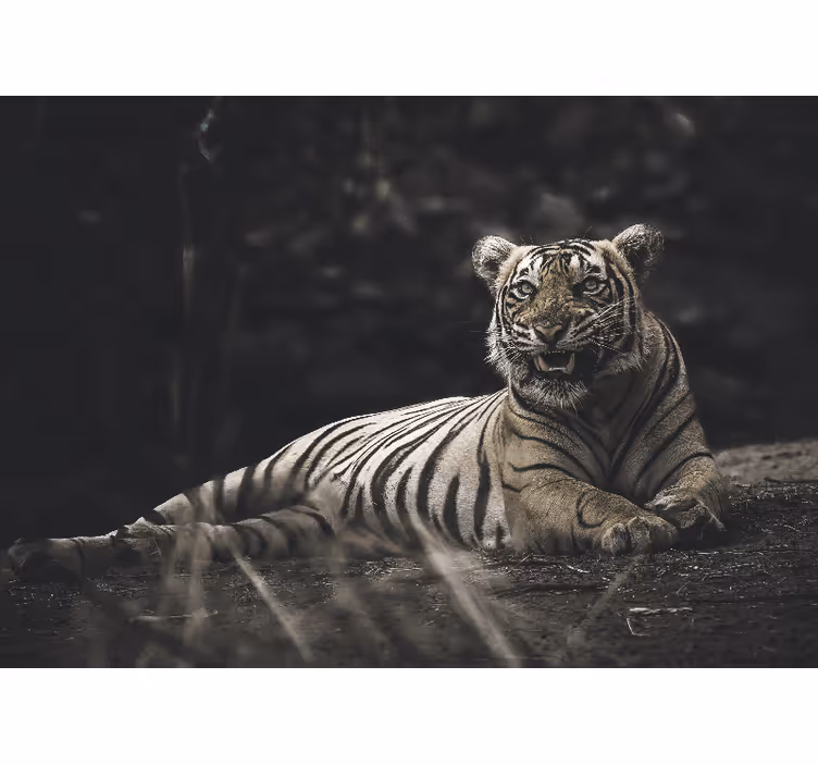 Living room blind tiger reclined - TenStickers