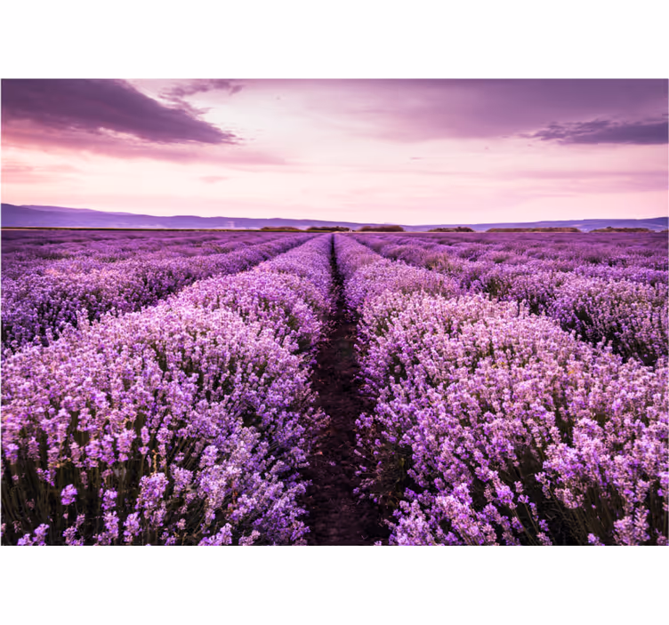 Living room blind with purple flower design - TenStickers