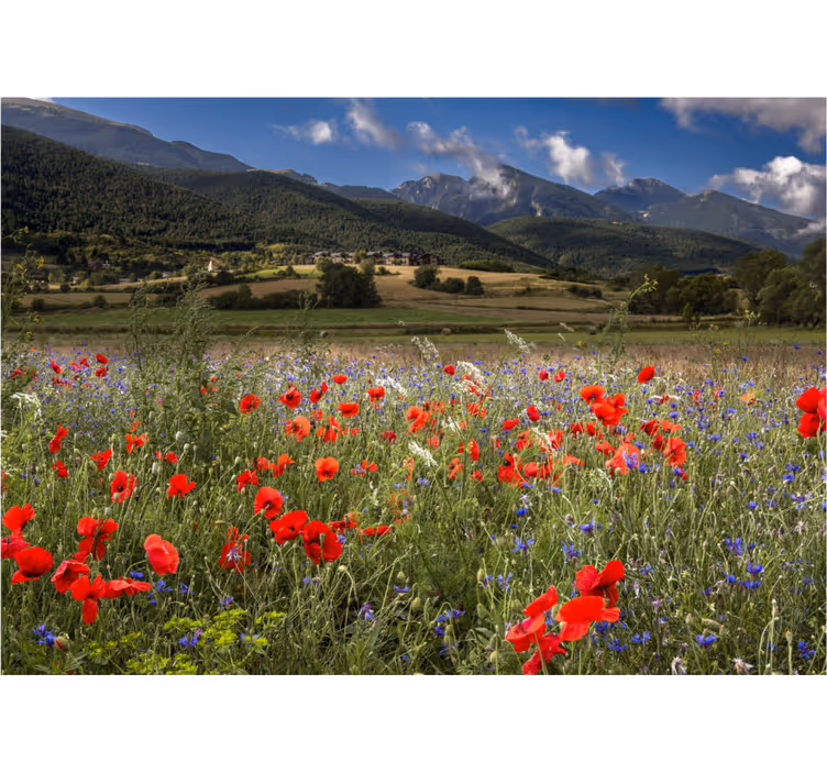 Living room blind prairie field with flowers - TenStickers