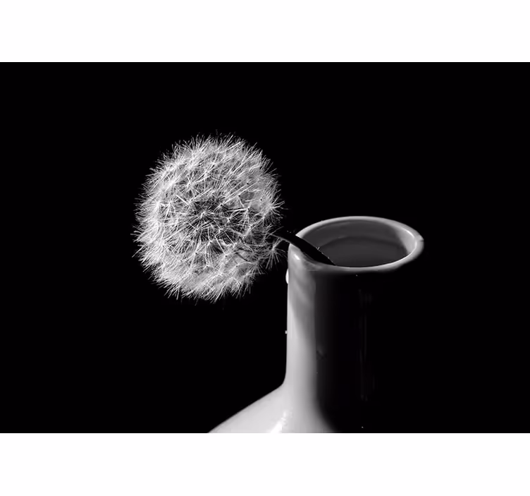 Living room blind dandelion in pot - TenStickers