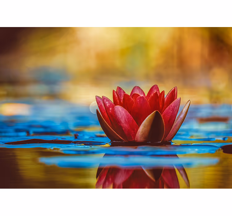 Living room blind zen reflected lotus flower - TenStickers