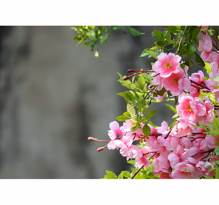 Living room blind pink flowers 3d - TenStickers