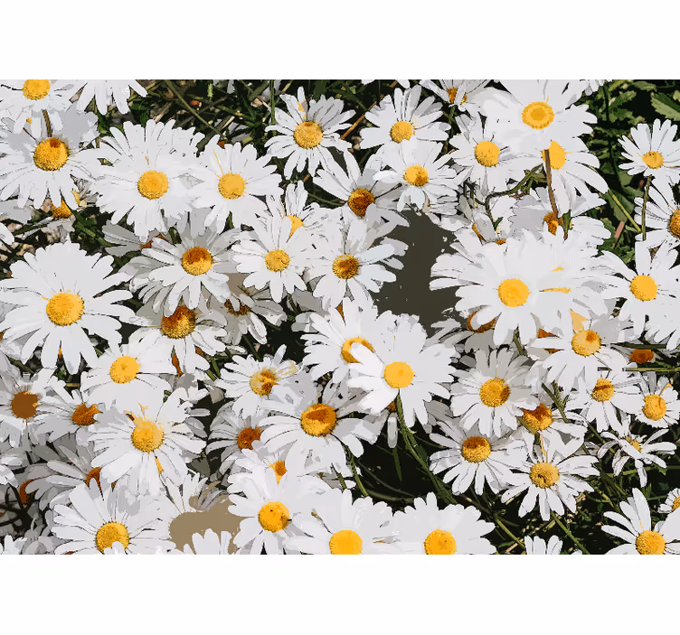 Living room blind daisy painted meadow - TenStickers