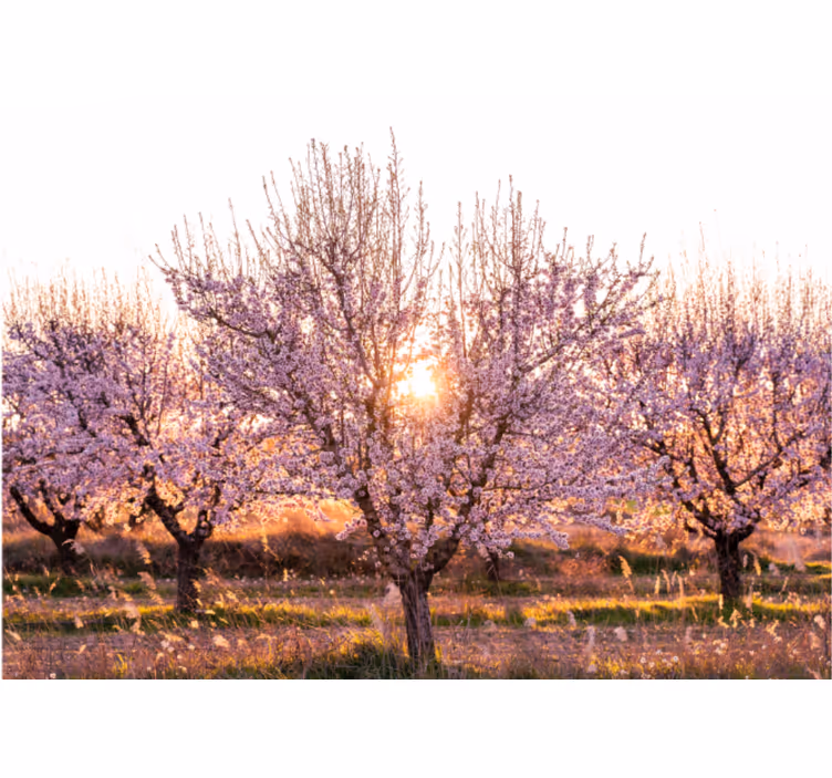 Living room blind pink landscape with flowers - TenStickers