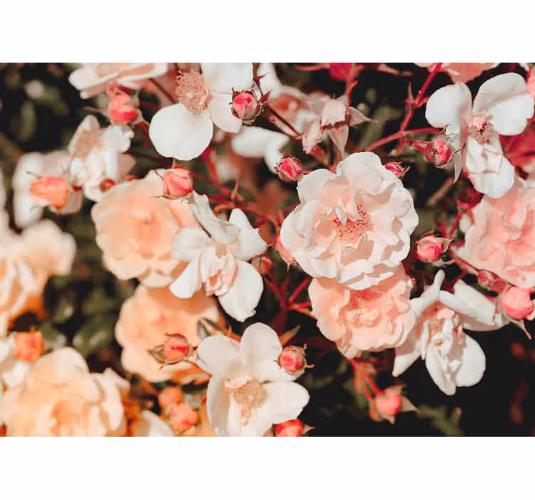 Living room blind full of flowers - TenStickers