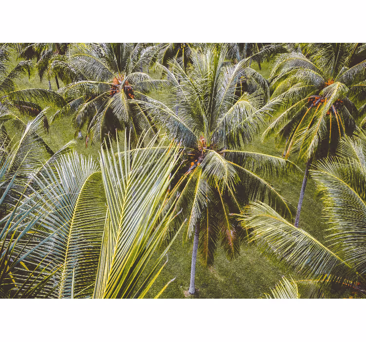 Living room blind in green palm tree forest style - TenStickers