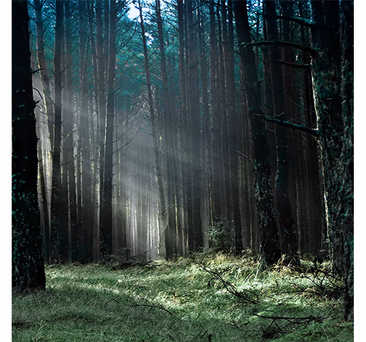 Living room blind nature blue misty forest - TenStickers