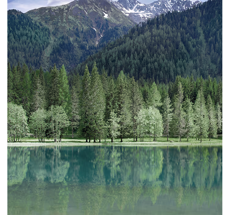 Living room blind inspired by serene green lake - TenStickers