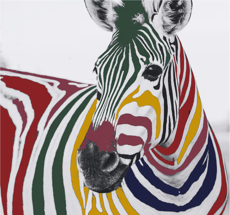 Living room blind colorful zebra art print - TenStickers