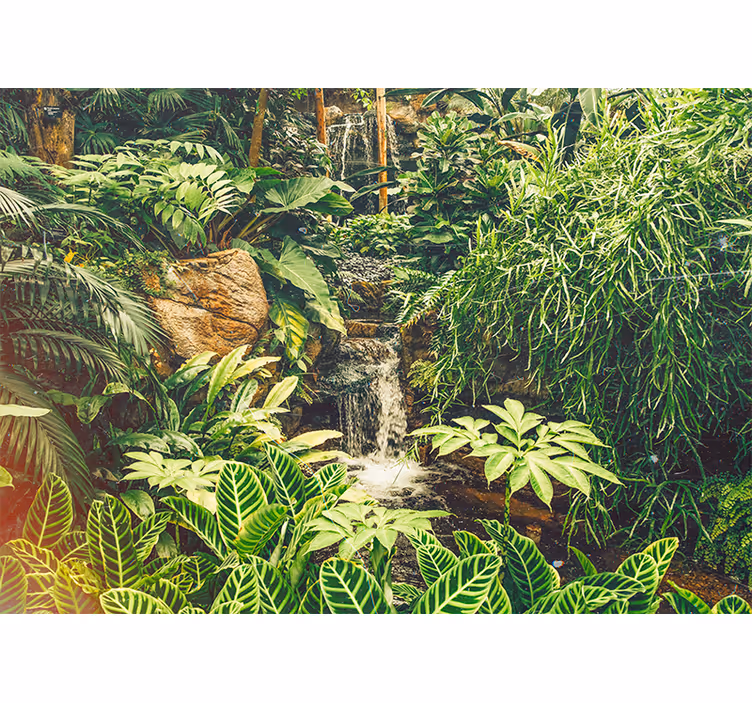 Living room blind in a beautiful green tropical forest - TenStickers
