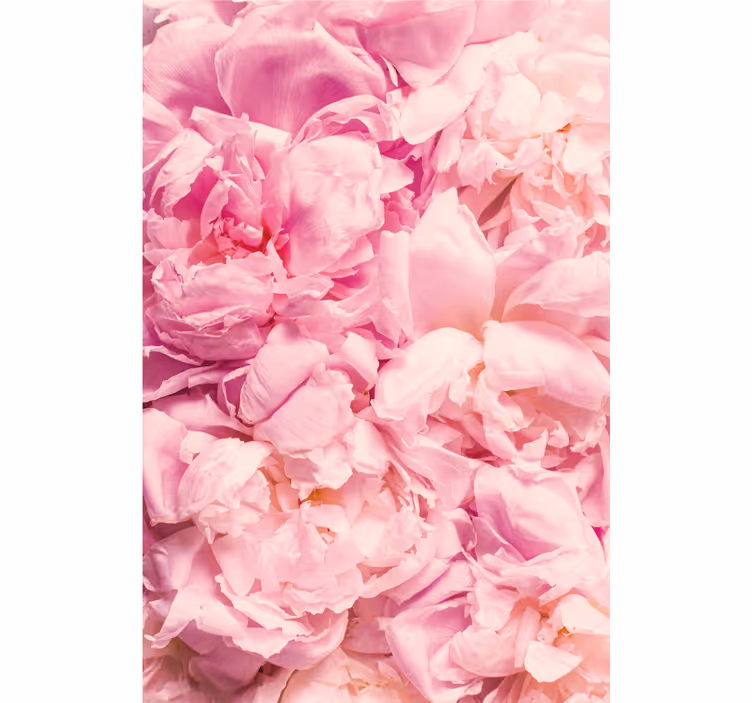 Blind bedroom peony realistic pink flowers - TenStickers