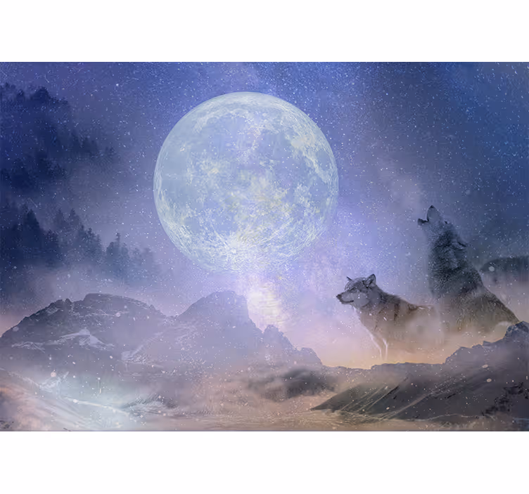 Living room blind wolf couple gazing at the stars - TenStickers