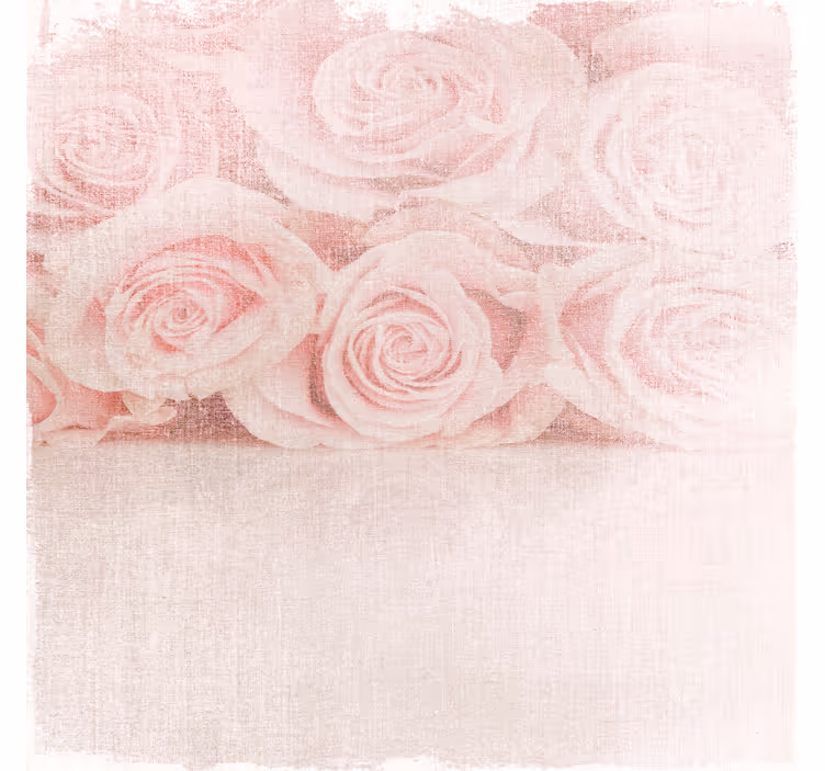 Light pink roses shabby chic living room blind - TenStickers