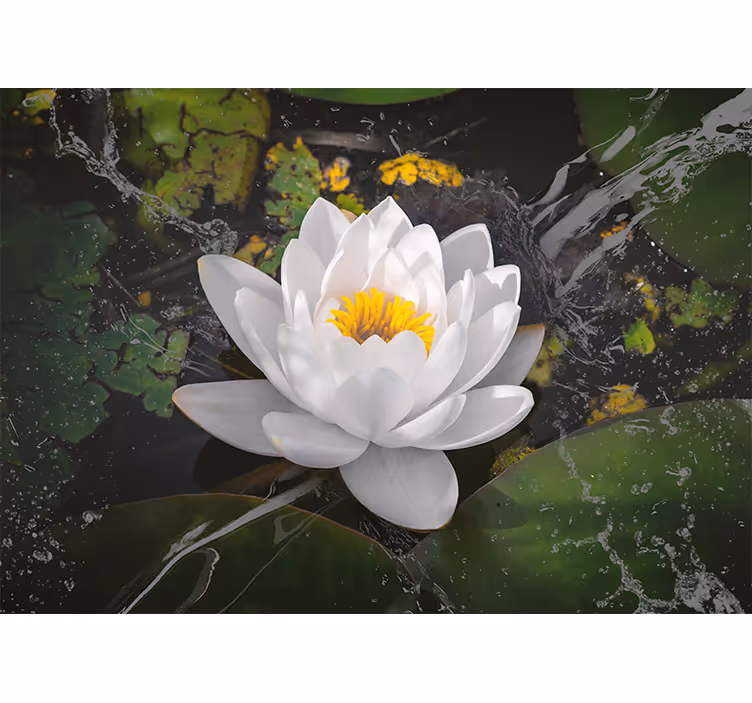 Blind bedroom with white and yellow lotus design - TenStickers