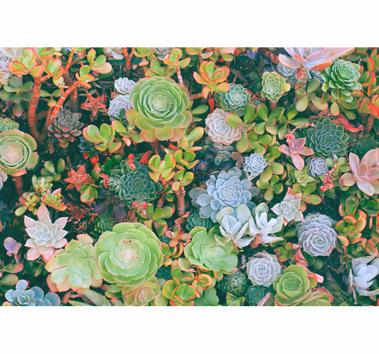 Blind bedroom with multicolor tropical leaves - TenStickers