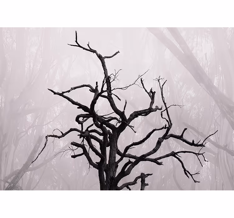 Blind bedroom natural forest branches in fog - TenStickers