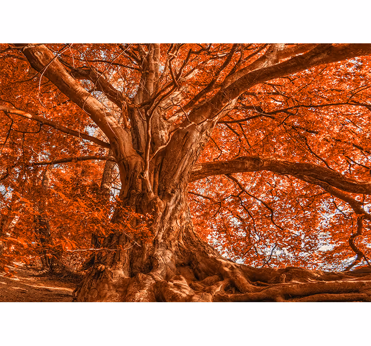 Blind bedroom autumn tree decor - TenStickers