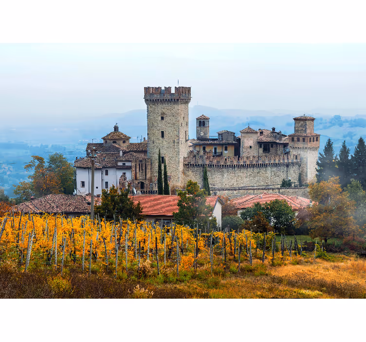Blind bedroom beautiful emilia-romagna vineyards design - TenStickers