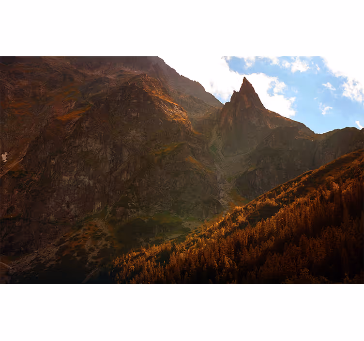 Blind bedroom with polish tatra mountain view - TenStickers