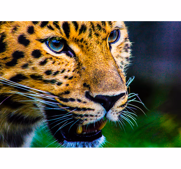 Blind bedroom leopard print - TenStickers