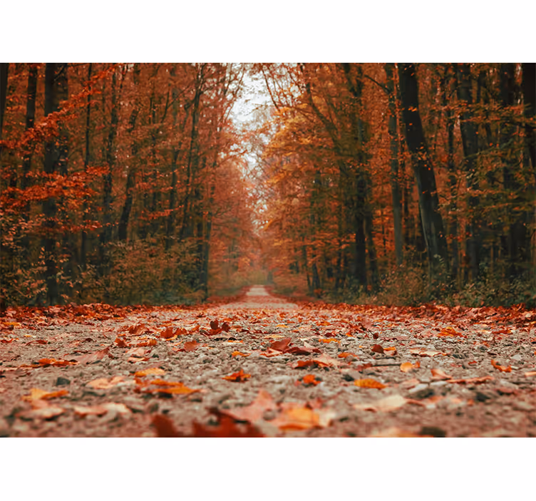 Living room blind with beautiful colorful autumn leaves - TenStickers