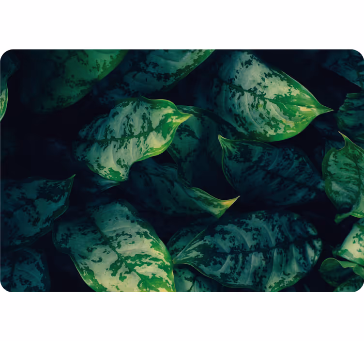 Blind bedroom with maranta leaves design - TenStickers